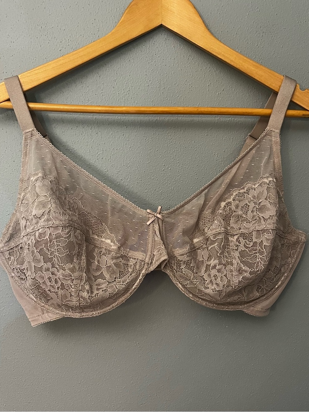 Hsia Lace Underwire Bra